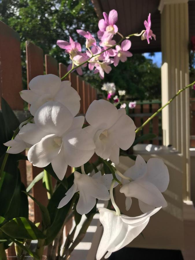 Orchid Pool -Villa 4 Bedrooms 란타섬 외부 사진