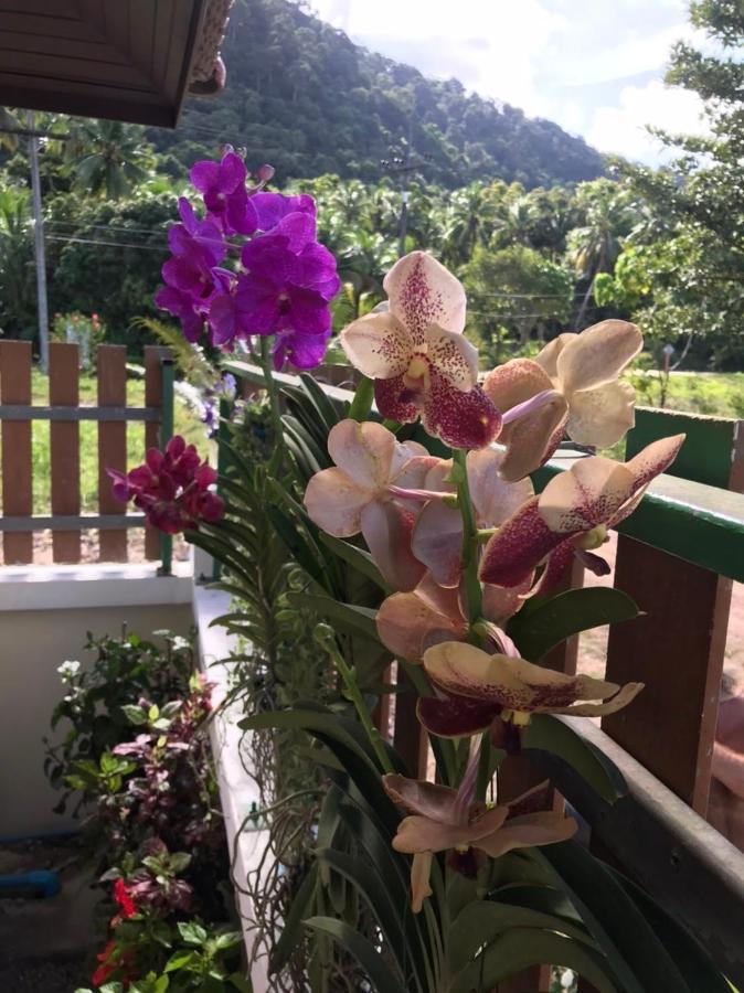 Orchid Pool -Villa 4 Bedrooms 란타섬 외부 사진
